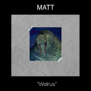 Walrus