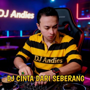 Cinta Dari Seberang