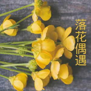 苏果儿 - 落花偶遇