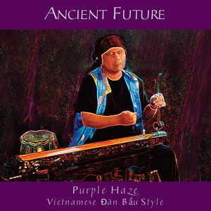 Purple Haze (Vietnamese Đàn Bầu Style)