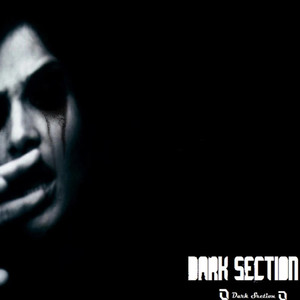 Dark Section Best Tracks