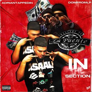 In the section (feat. DomfromLp)