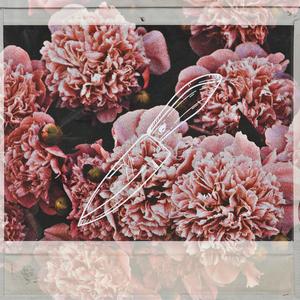 Someone Like You (feat. Mac LYX) (Explicit)