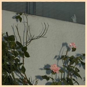 A Plan To Suffer (Bonus Track)