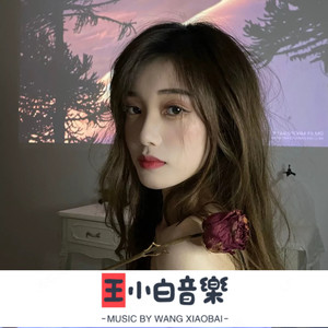 大赦天下 (DJ版)