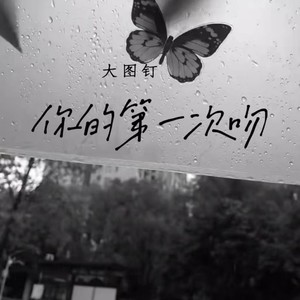 你的第一次吻 - 大图钉封面