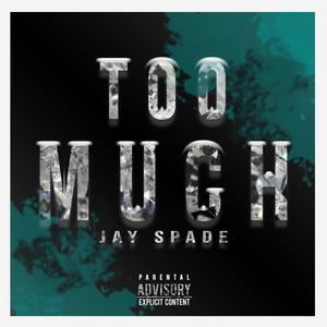 Too Much (Explicit)