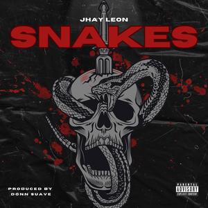 SNAKES (Explicit)