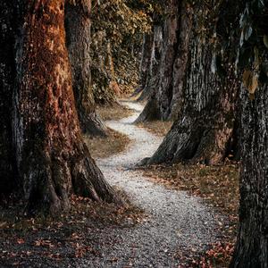 Wrong Path (feat. O2solus) (REMIX/Extended Edition)