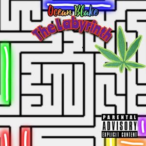 Party **** (Explicit)