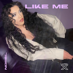 Like Me (Work) [Explicit]