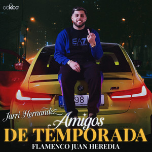 Amigos de Temporada
