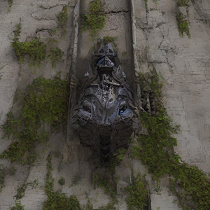 Спокойной ночи, друзья