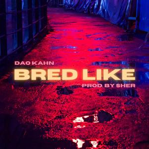 Bred Like (Explicit)