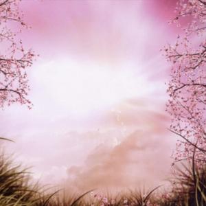 Poetic Assumptions (Explicit)