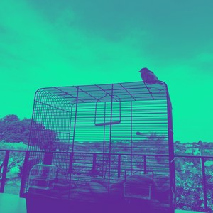 Fog (Instrumental Version)