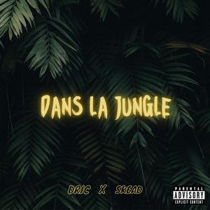 Dans la jungle (feat. SKEAD) (Explicit)