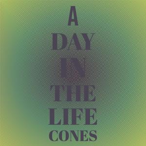 A Day In The Life cones