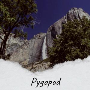 Pygopod