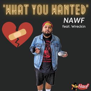 What You Wanted (Explicit)