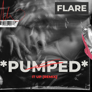 Flare - Pumped It Up (Remix)