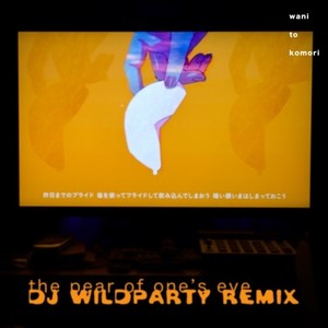 the pear of one's eye (DJ WILDPARTY Remix)