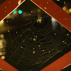 mercyless (feat. nøwhere) (Explicit)