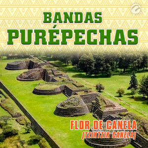 Flor de Canela(Tziktzik Canela)