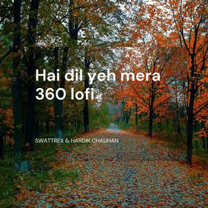 Hai dil yeh mera 360 lofi