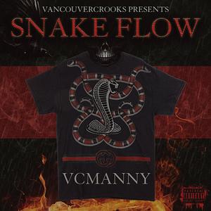 Snake Flow (Explicit)