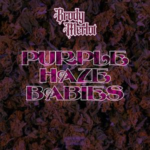 PURPLE HAZE BABIES (Explicit)