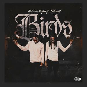 Birds (feat. Coldheartd) [Explicit]