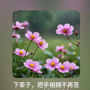 下辈子,把手相拥不再苦封面