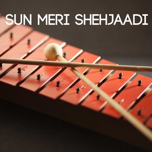 Sun Meri Shehjaadi