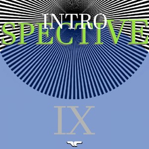 Introspective IX