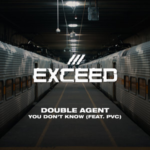 You Don't Know (feat. PVC) (Original Mix)