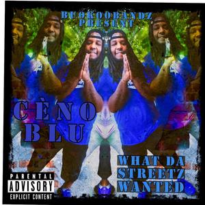 What Da Streetz Wanted (Explicit)