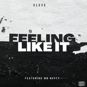 Feeling Like It (feat. WB Nutty) (Explicit)