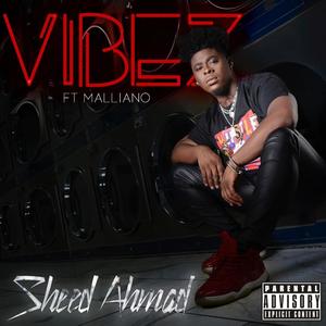 Vibez (feat. Malliano) [Explicit]