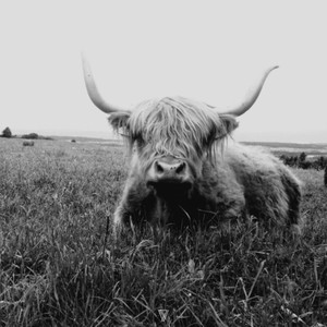 Vespera (Microlot's Warm Sunrise Mix)