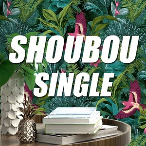 Single shoubou