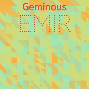 Geminous Emir