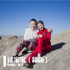 过家家 (新版)封面