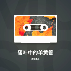 两袖清风 - 落叶中的单黄管