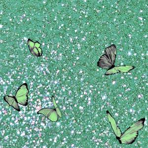 **** up my life (Explicit)