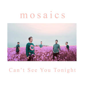 Can't See You Tonight