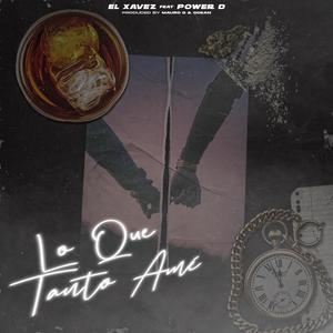 Lo que tanto ame (feat. POWER D) (Explicit)