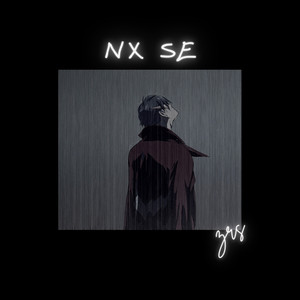 Nx se