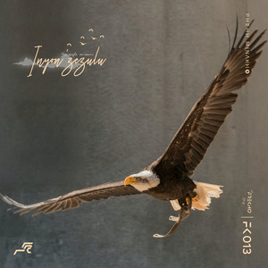 Inyon'zezulu(The eagle scream) (Original Mix)