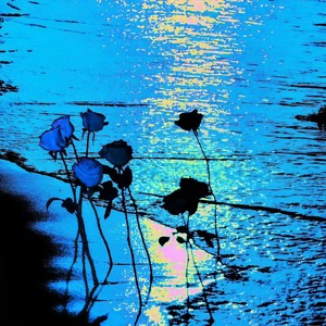 在下雨暴风天等你出现 Remix